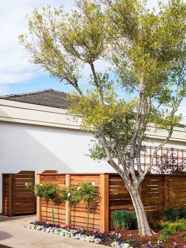 Four Points By Sheraton Marin County Hotel San Rafael
